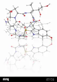 球天下体育直播- 穆里尼奥费内巴切最新转会消息 
